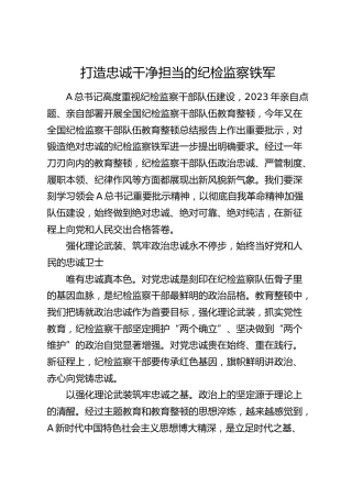 打造忠诚干净担当的纪检监察铁军（研讨发言、党课参考）
