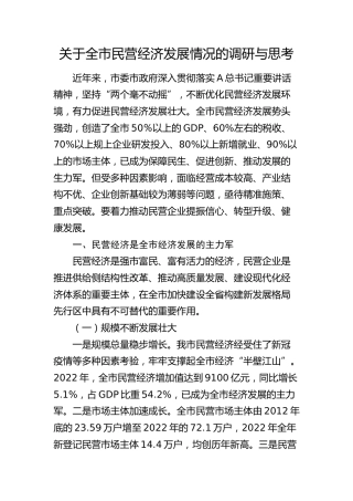 全市民营经济发展情况的调研与思考（调研报告参考）