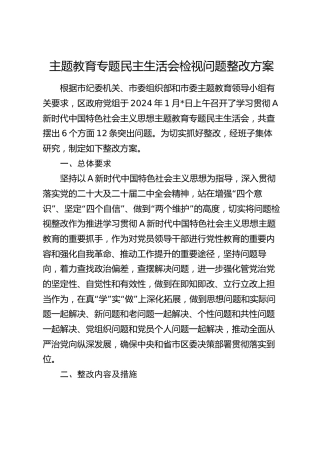 2023年度主题教育专题民主生活会检视问题整改方案5300字