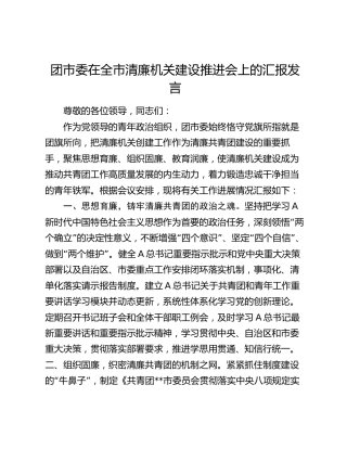 团市委在全市清廉机关建设推进会上的汇报发言