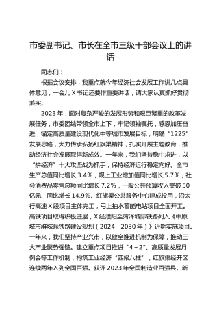 市委副书记、市长在全市三级干部会议上的讲话8400字