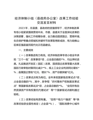 经济体制小组改革工作经验交流发言