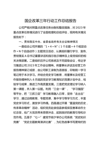 国企改革三年行动工作总结报告（公司4100字）