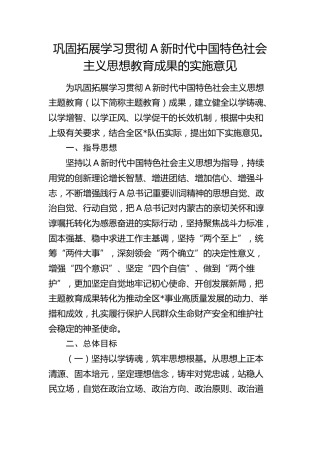 巩固拓展主题教育成果的实施意见