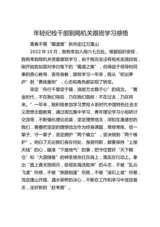 年轻纪检干部到局机关跟班学习心得体会