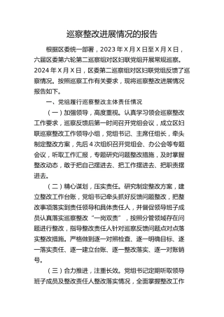 妇联巡察整改进展情况的报告（2900字总结）