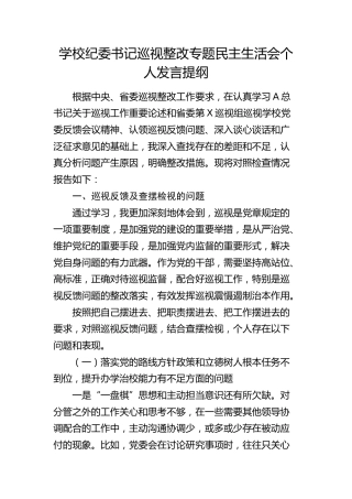 学校纪委书记巡视巡察整改专题民主生活会个人对照检查