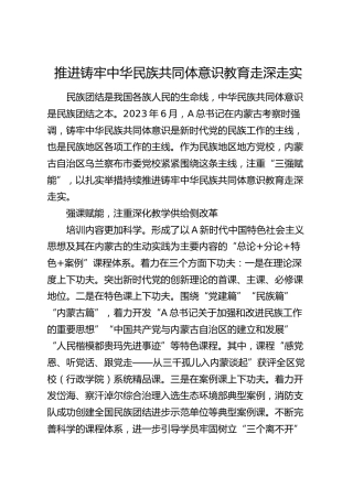 经验总结：推进铸牢中华民族共同体意识教育走深走实
