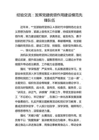 经验交流：发挥党建统领作用     建设模范先锋队伍（发言）