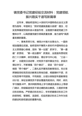 乡镇党委书记党建经验交流材料：党建领航振兴路  实干谱写新篇章