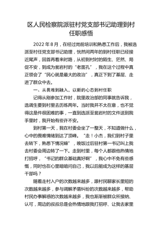 检察系统派驻村党支部书记助理到村任职心得体会（总结）