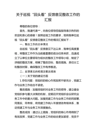 巡视巡察“回头看”反馈意见整改工作的汇报（3000字）