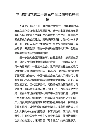 学习贯彻党的二十届三中全会精神心得感悟 (2)