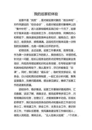 参加巡察心得体会