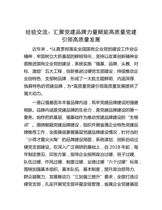 经验交流：汇聚党建品牌力量 赋能高质量党建引领高质量发展