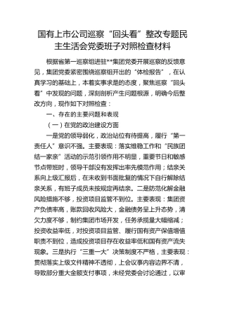 公司巡察“回头看”整改专题民主生活会班子对照检查6800字