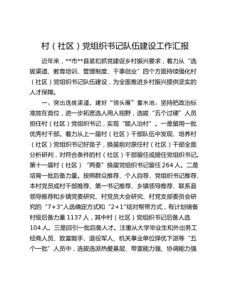 村（社区）党组织书记队伍建设工作汇报