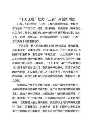 研讨发言：“千万工程”助力“三农”开创新局面