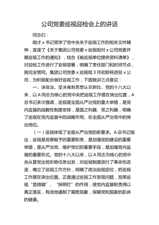 公司巡视（巡察）迎检会上的讲话