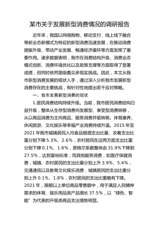 市关于发展新型消费情况的调研报告