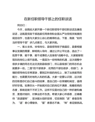 在新任职领导干部上的任职谈话2000字