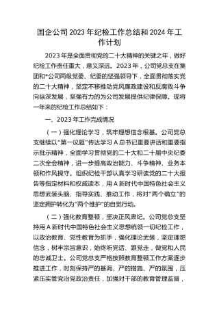 国企公司2023年纪检工作总结和2024年工作计划4800字