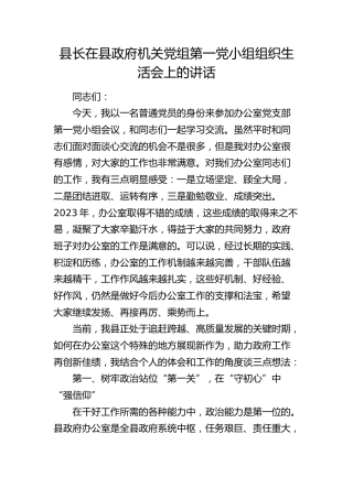 县长在县政府机关党小组组织生活会上的讲话
