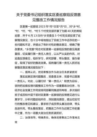 党委书记第一责任人组织落实巡察组反馈意见整改工作情况总结报告