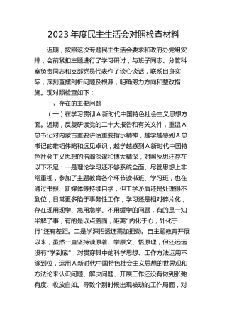 2023年度主题教育民主生活会个人对照检查5600字（政府办）
