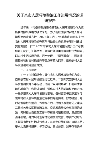 某市人居环境整治工作进展情况的调研报告