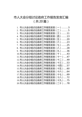 市人大会分组讨论政府工作报告发言20篇