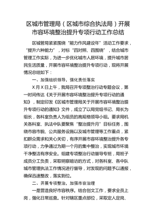 区城市管理局（综合执法局）开展市容环境整治提升专项行动工作总结