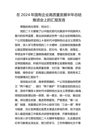在2024年国企高质量发展半年总结推进会上的汇报发言（公司）