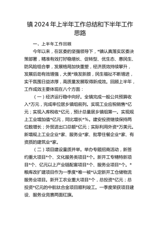 乡镇2024年上半年工作总结和下半年工作思路