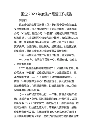 国企公司2023年度生产经营工作报告（总结）