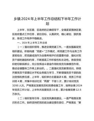乡镇2024年上半年工作总结3