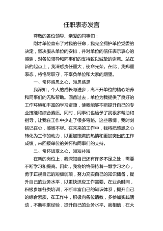 任职表态发言 (2)