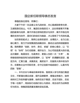 国企公司新任职领导表态发言