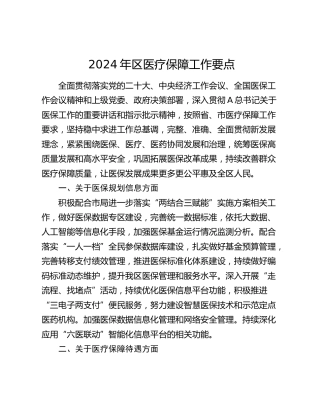 2024年区医疗保障（医保）工作要点