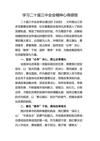 公司学习三中全会精神心得体会发言