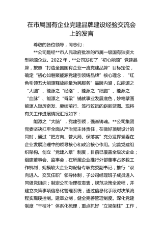 在市属国有企业党建品牌建设经验交流会上的发言（公司）