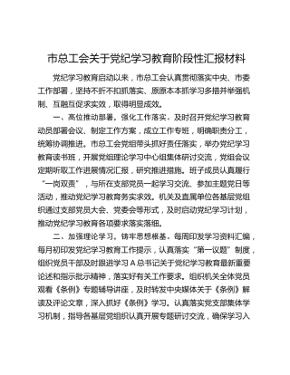 市总工会党纪学习教育阶段性总结汇报