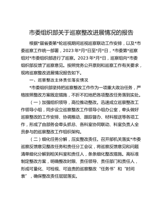 组织部关于巡察整改进展情况的总结报告1