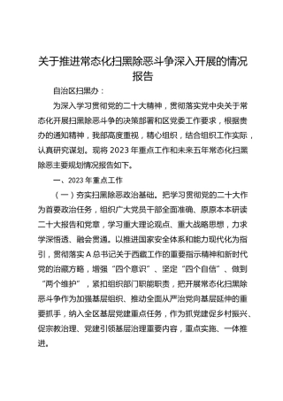 关于推进常态化扫黑除恶斗争深入开展的情况报告