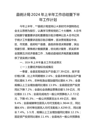 县统计局2024年上半年工作总结暨下半年工作计划2