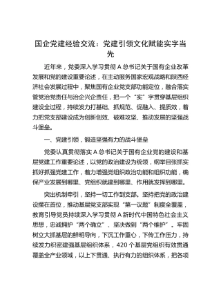 国企党建经验交流：党建引领 文化赋能 实字当先（公司）