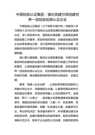 公司经验总结：强化党建引领创建世界一流检验检测认证企业