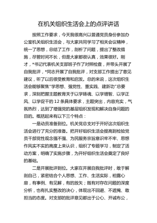 在机关组织生活会上的点评讲话2700字