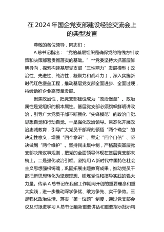 在2024年国企党支部建设经验交流会上的典型发言（公司）