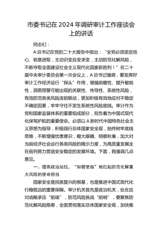 市委书记在2024年调研审计工作座谈会上的讲话